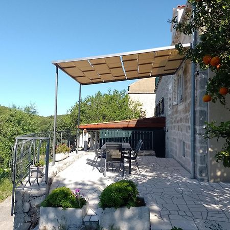 Holiday Apartments Maslina Paho Babino Polje Exteriér fotografie